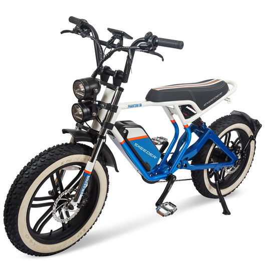 G9 FAT TIRE EBIKE